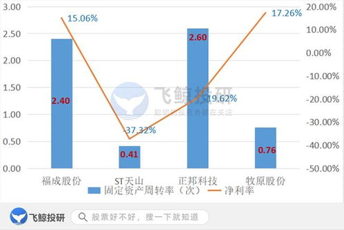 排雷必備 巧用固定資產篩選企業，優化企業資產管理